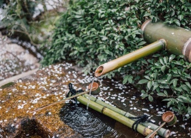 Многим владельцам загородных домов приходится создавать собственную систему водоснабжения, ведь не всегда удается подключиться к центральной маги...
